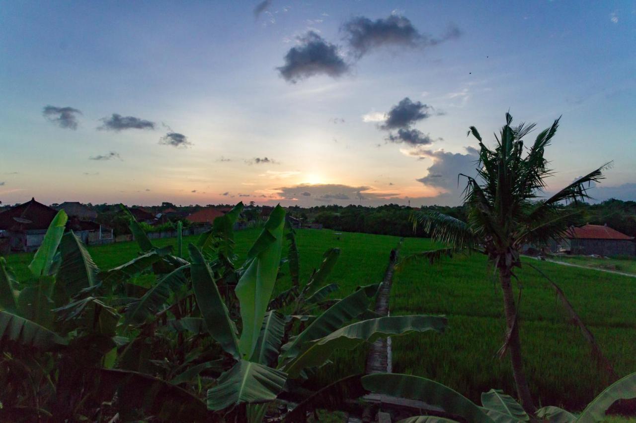 Samadi Bali Homes チャングー エクステリア 写真